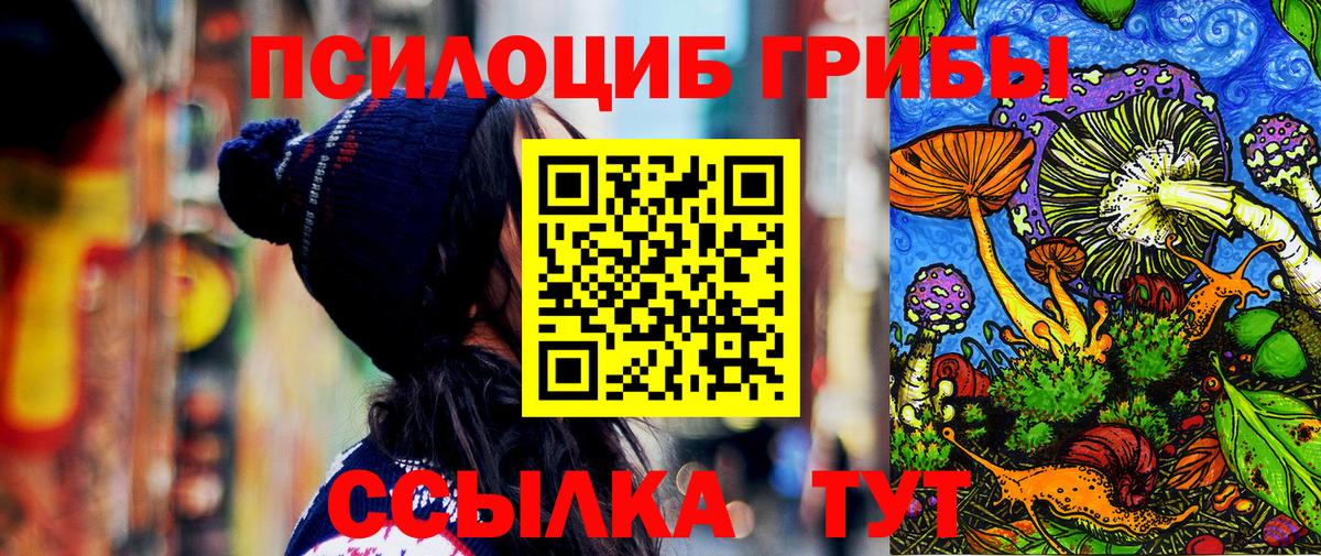 Псилоцибиновые грибы мицелий  купить наркотики сайты  Галлюциногенные грибы Magic Shrooms  Ессентуки  Вход с VPN 